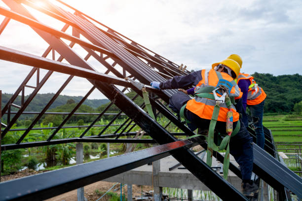 Best Residential Roof Replacement  in St Petersburg, FL