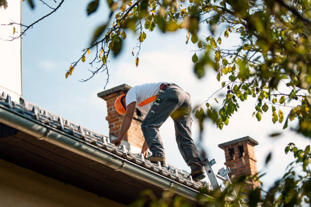 Best Gutter Installation and Roofing  in St Petersburg, FL