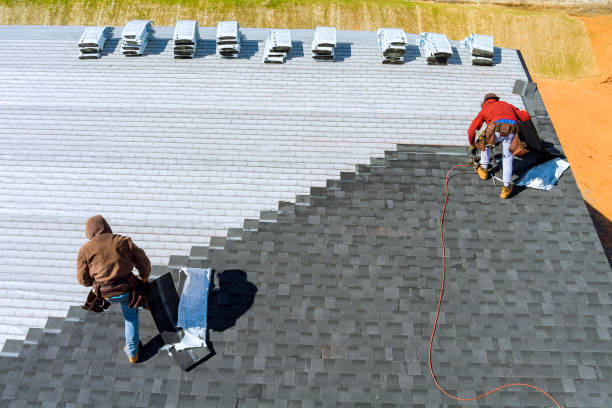 Best Metal Roofing Contractor  in St Petersburg, FL