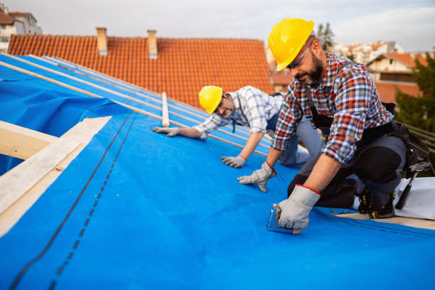 Quick and Trustworthy Emergency Roof Repair Services in St Petersburg, FL